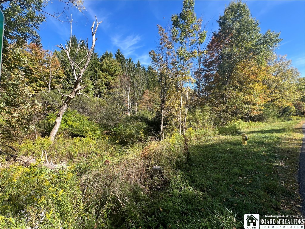 Orr Street Jamestown, NY 14701 - Photo 12 of 13