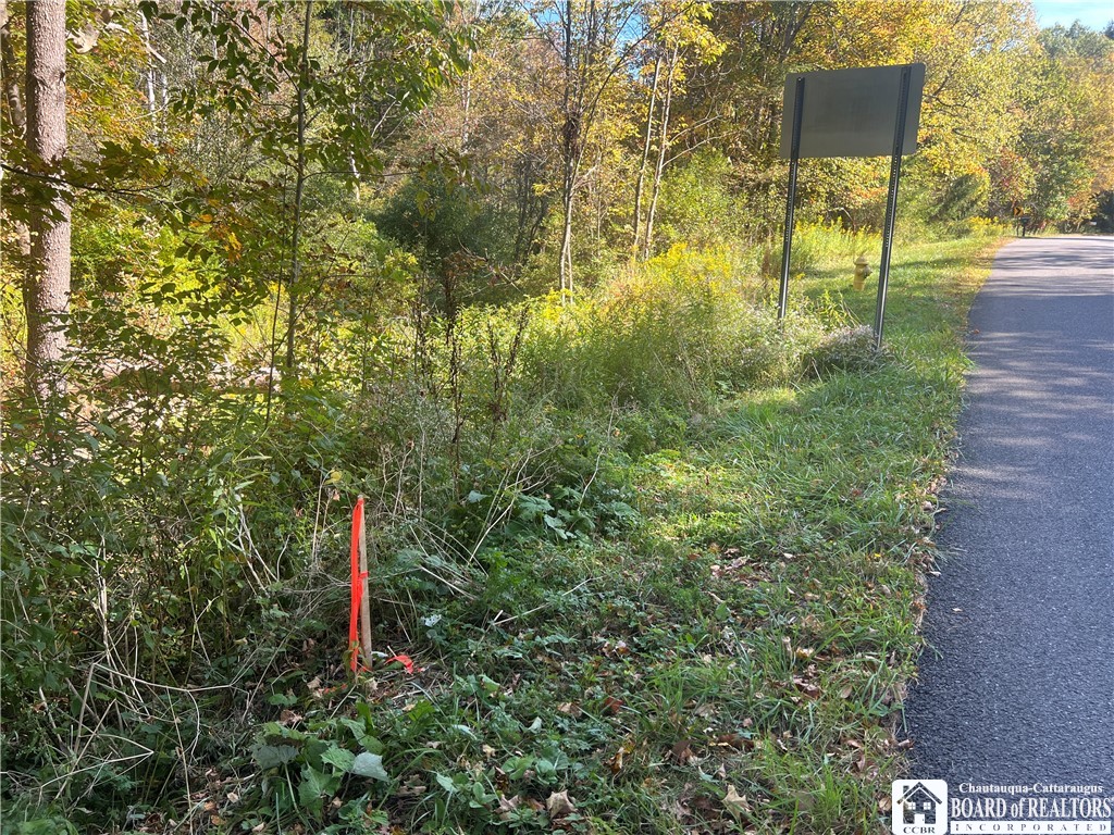 Orr Street Jamestown, NY 14701 - Photo 2 of 13 North Survey Stake
