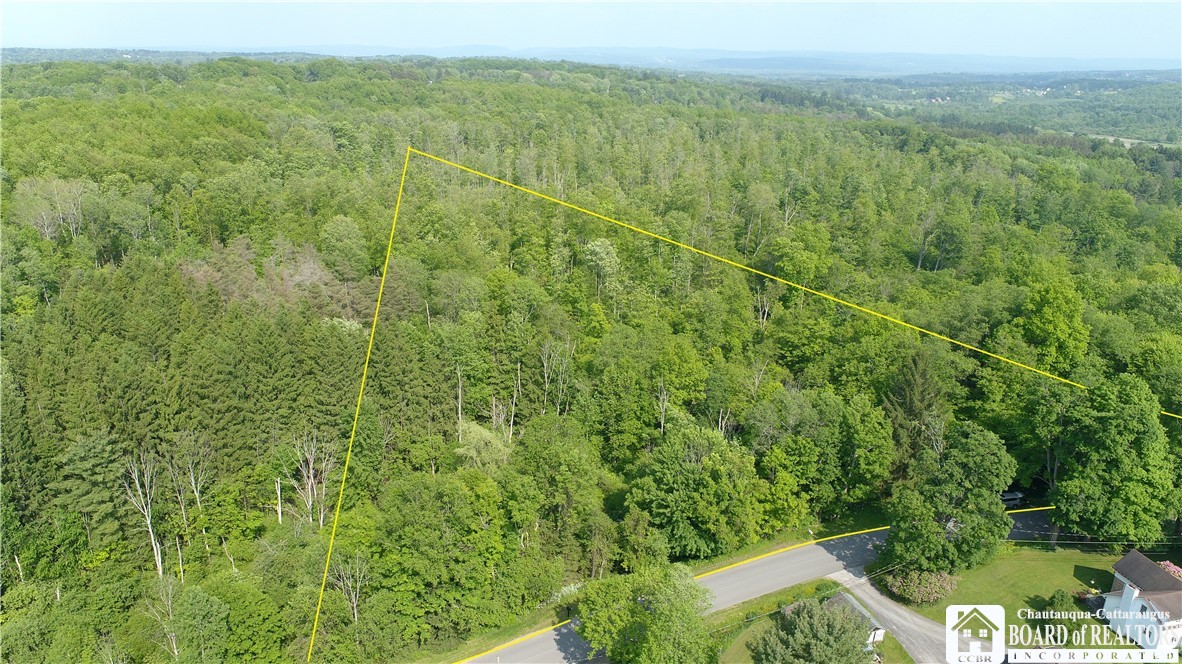 Orr Street Jamestown, NY 14701 - Photo 4 of 13