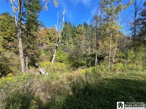 $17,000 | Orr Street, Jamestown, NY 14701