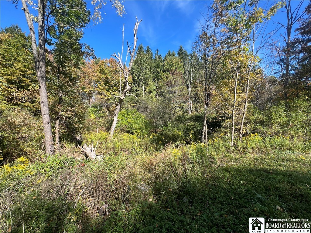 Orr Street Jamestown, NY 14701 - Photo 5 of 13