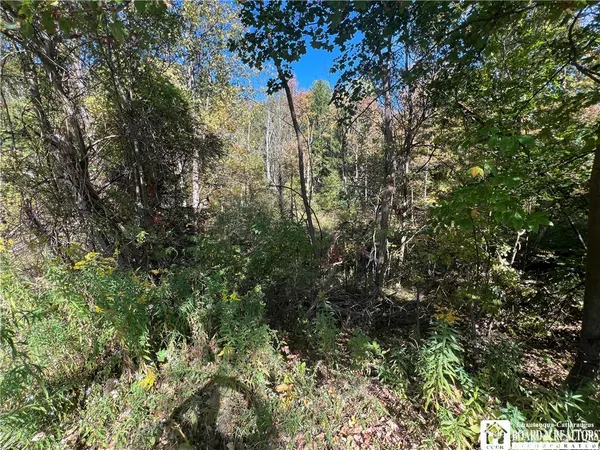 $18,900 | Orr Street, Jamestown, NY 14701