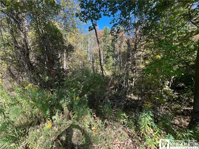 $24,900 | Orr Street, Jamestown, NY 14701