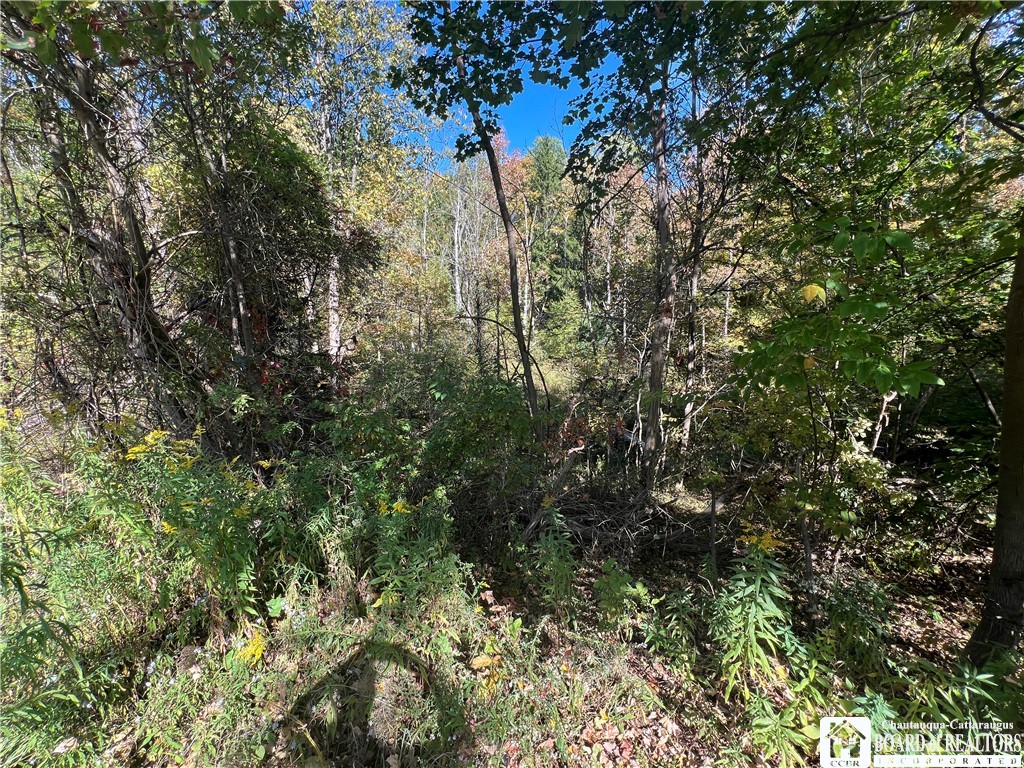 Orr Street Jamestown, NY 14701 - Photo 7 of 13