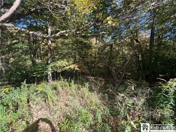 $17,000 | Orr Street, Jamestown, NY 14701