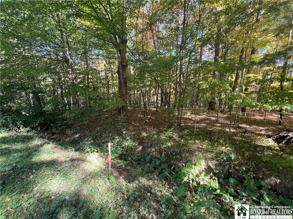 Orr Street Jamestown, NY 14701 - Photo 10 of 13