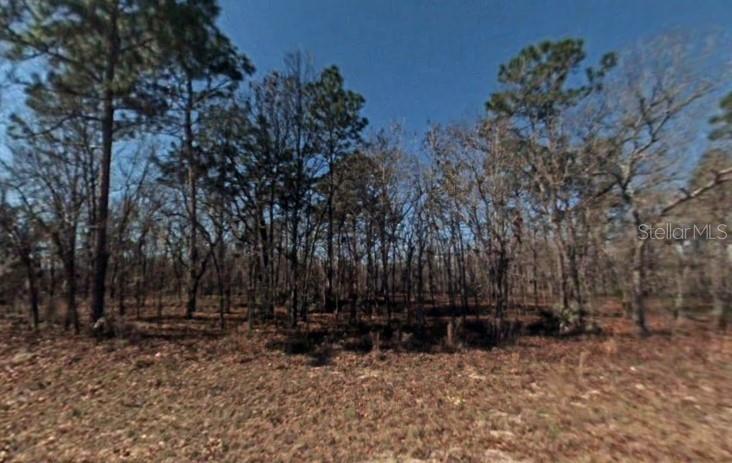 Tbd Southwest 57th Terrace Road Ocala, FL 34473 - Photo 1 of 1 a view of backyard