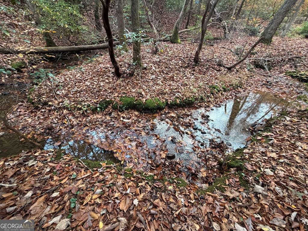 811 Magnums Trail Blue Ridge, GA 30513 - Photo 29 of 58