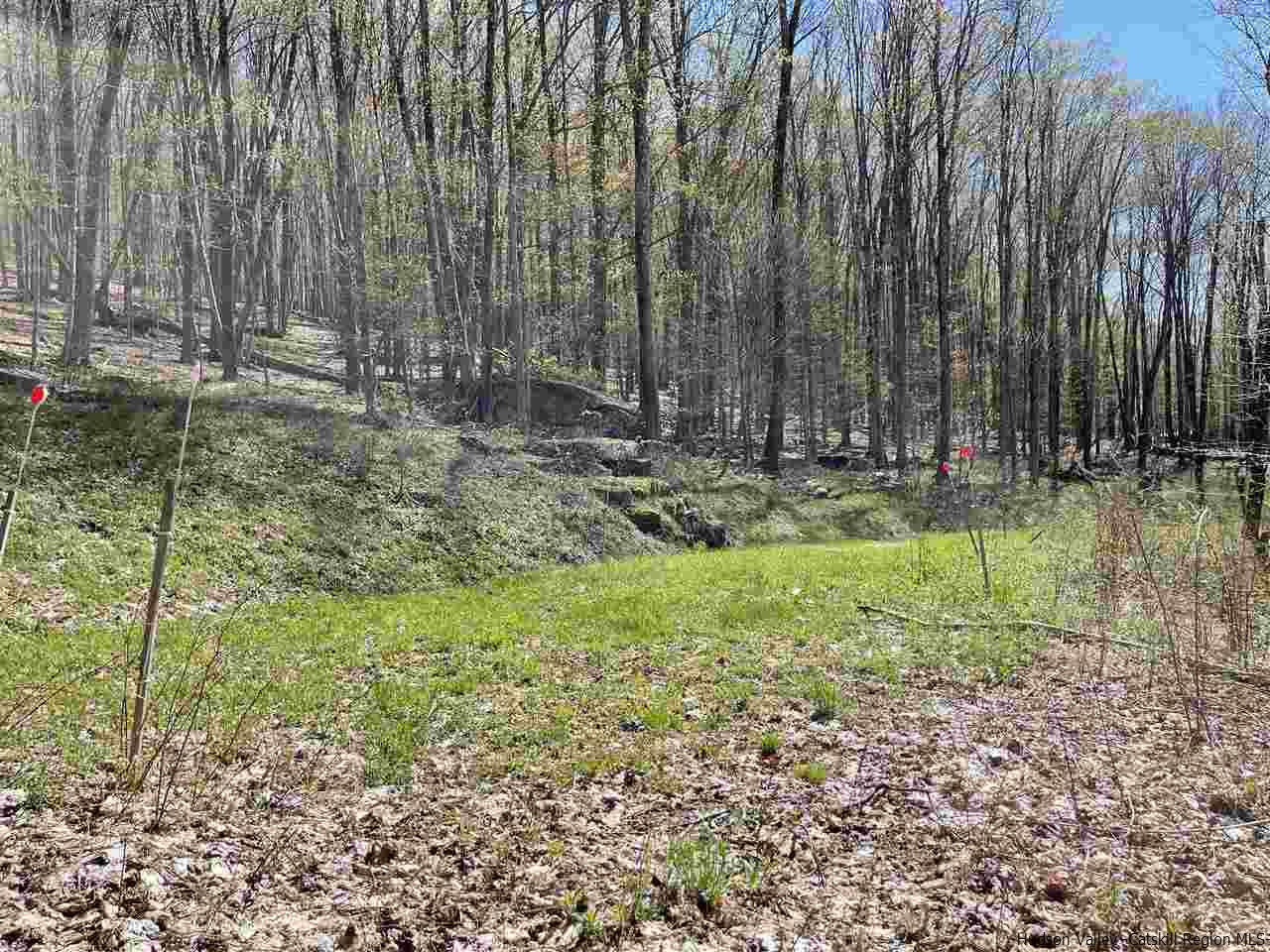 0 Canada Hollow Road Andes, NY 13731 - Photo 11 of 15 Photo 11