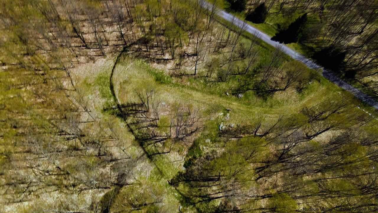 0 Canada Hollow Road Andes, NY 13731 - Photo 12 of 15 Photo 12