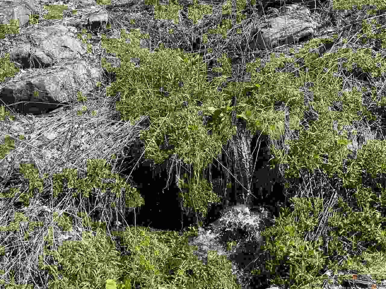0 Canada Hollow Road Andes, NY 13731 - Photo 13 of 15 Photo 13