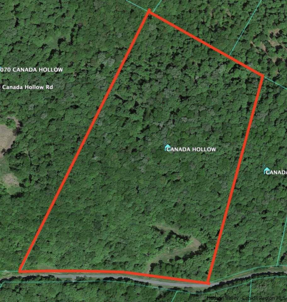 0 Canada Hollow Road Andes, NY 13731 - Photo 14 of 15 Photo 14