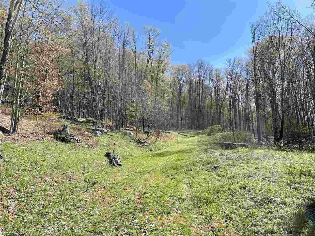 0 Canada Hollow Road Andes, NY 13731 - Photo 2 of 15 Photo 2