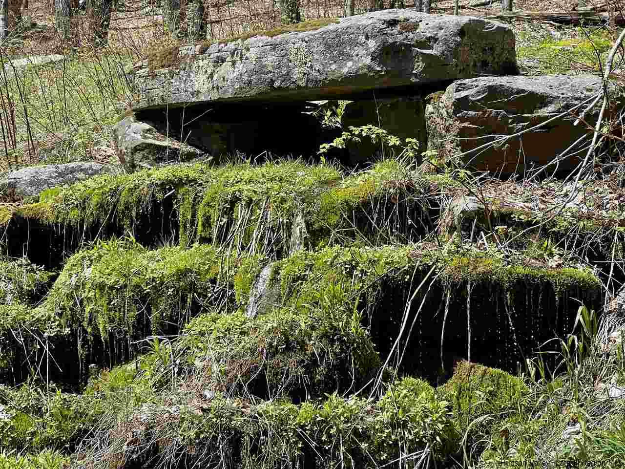 0 Canada Hollow Road Andes, NY 13731 - Photo 3 of 15 Photo 3