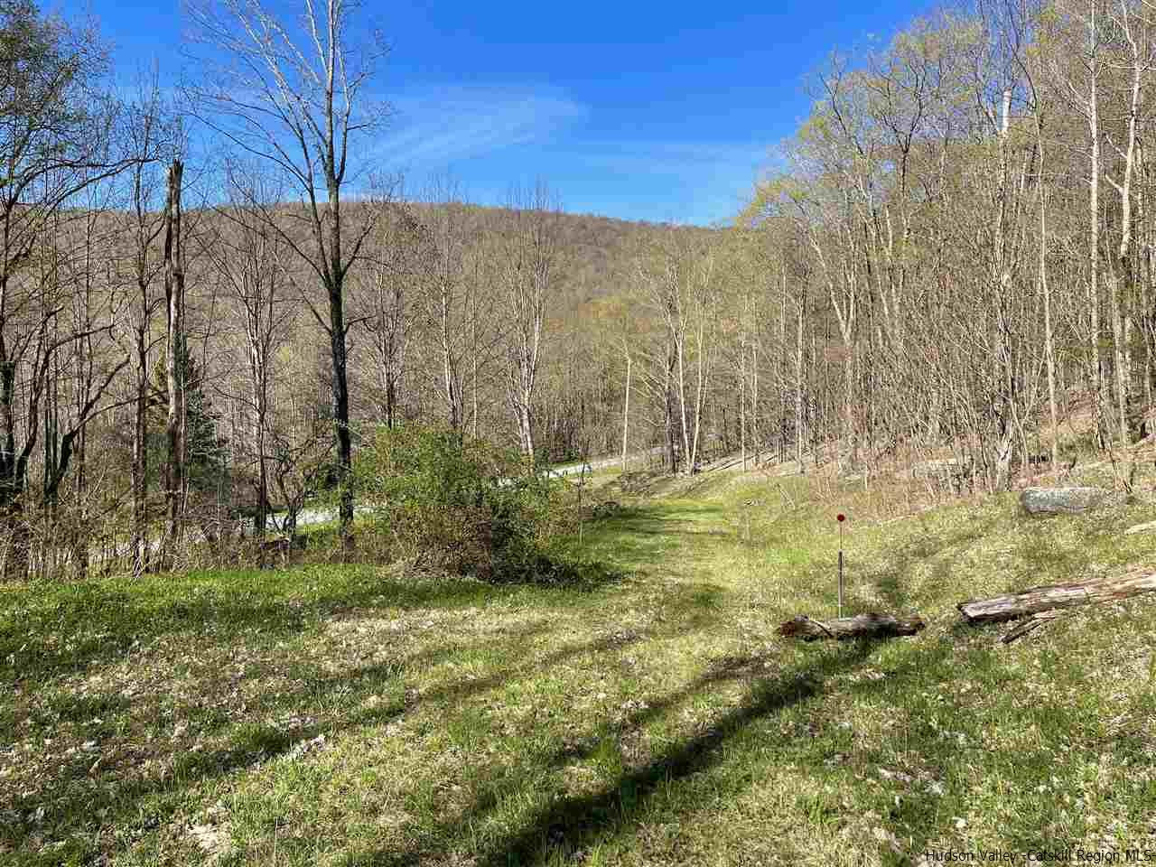 0 Canada Hollow Road Andes, NY 13731 - Photo 4 of 15 Photo 4