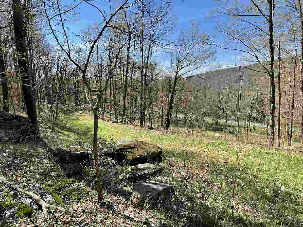 0 Canada Hollow Road Andes, NY 13731 - Photo 5 of 15 Photo 5