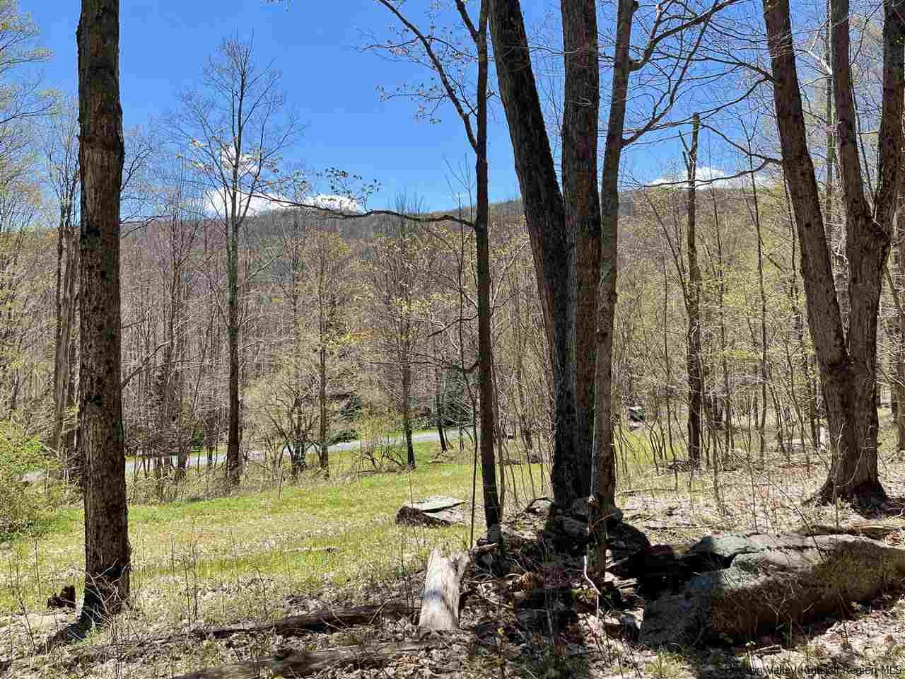 0 Canada Hollow Road Andes, NY 13731 - Photo 6 of 15 Photo 6
