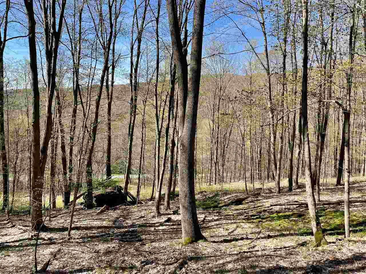 0 Canada Hollow Road Andes, NY 13731 - Photo 8 of 15 Photo 8