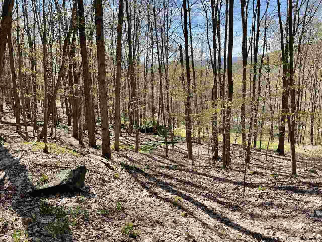 0 Canada Hollow Road Andes, NY 13731 - Photo 9 of 15 Photo 9