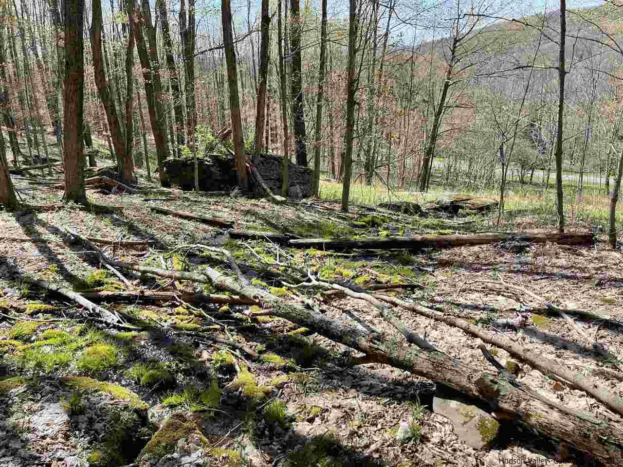 0 Canada Hollow Road Andes, NY 13731 - Photo 10 of 15 Photo 10