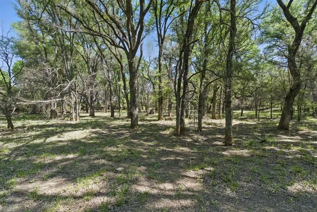 a view of outdoor space with trees