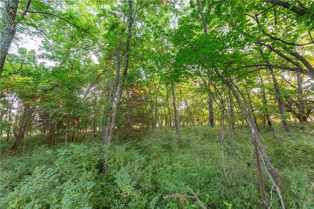 33200 East Hammond Road Lone Jack, MO 64070 - Photo 70 of 76