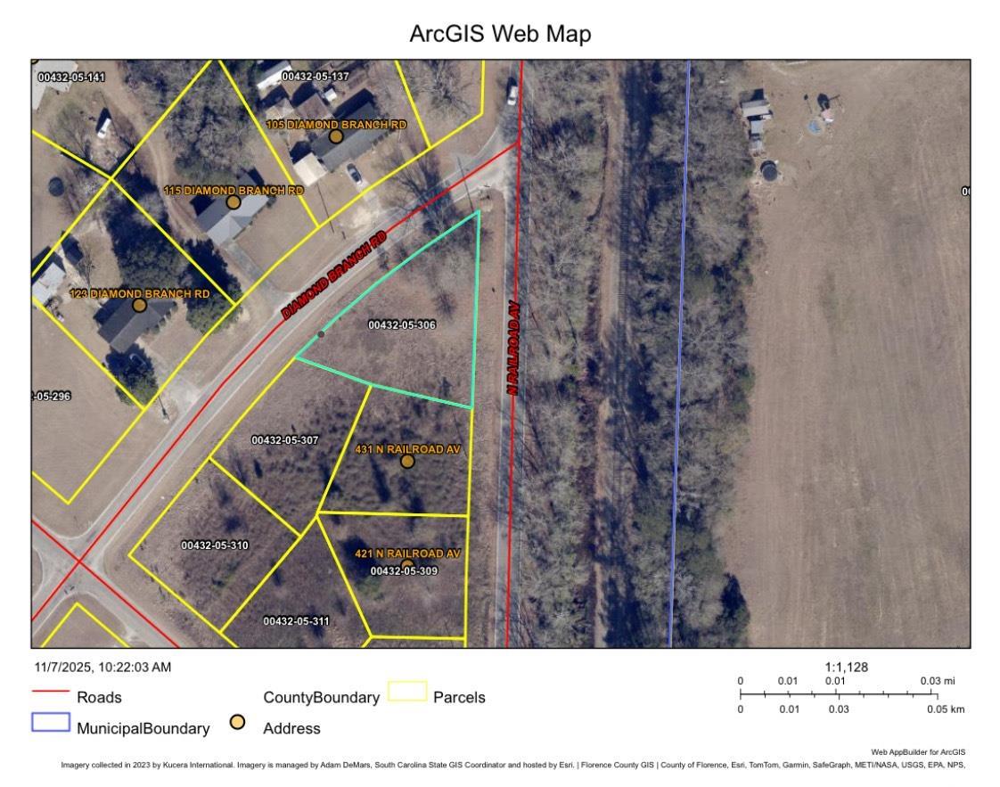 112 Diamond Branch Road Johnsonville, SC 29555 - Photo 2 of 2 Aerial view of property's location featuring property boundaries highlighted