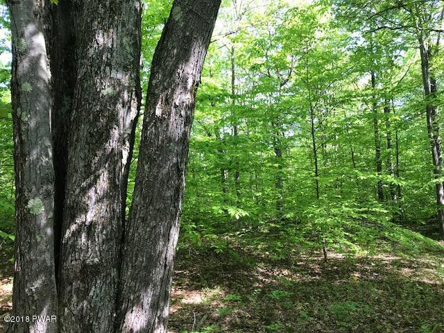 Brook Street Forest City, PA 18421 - Photo 4 of 22