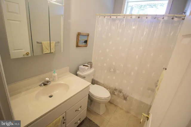 a bathroom with a sink a toilet and shower curtain