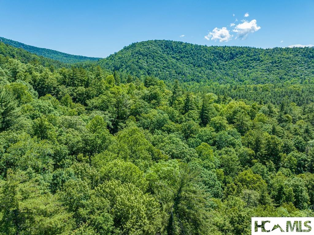 Tbd Chastain Valley Road Highlands, NC 28741 - Photo 7 of 11 Gallery Image 7