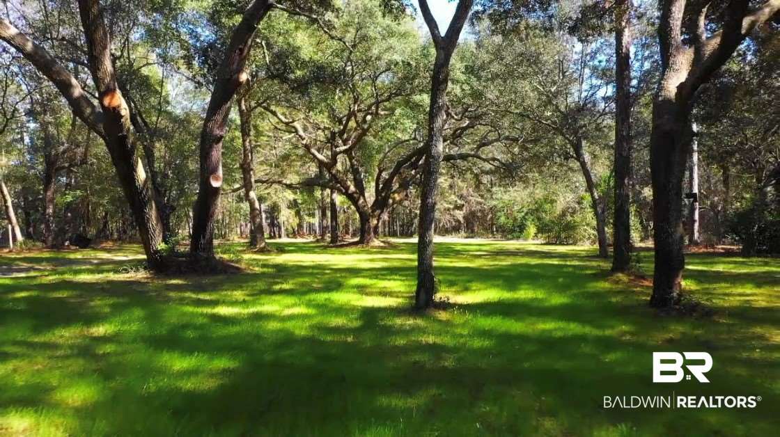 0 Collins Lane Foley, AL 36535 - Photo 8 of 13