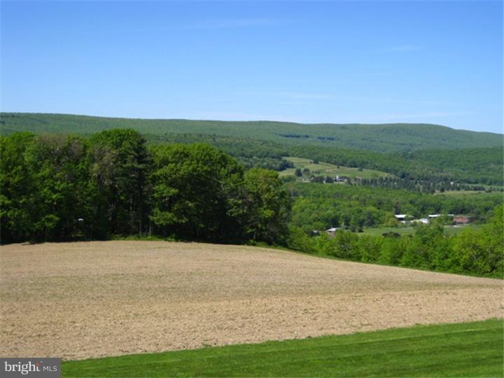 201 Ridge Cup Road New Ringgold, PA 17960 - Photo 3 of 4 a view of a field with an ocean view