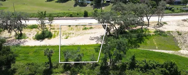 a view of a park with large trees