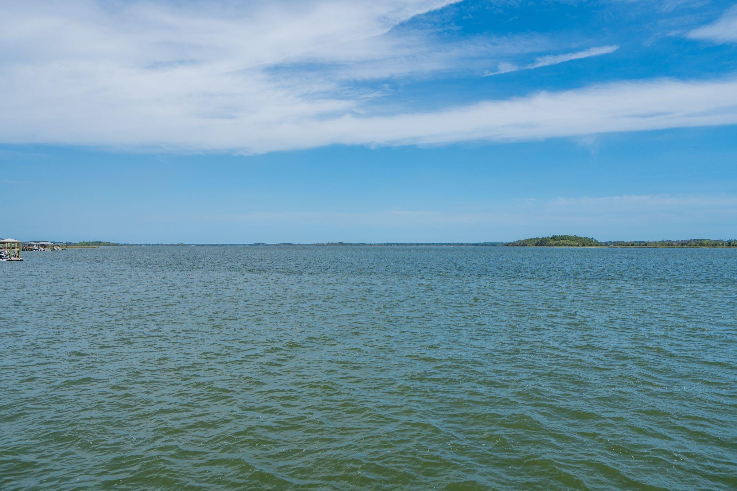 401 Wayfaring Point Daniel Island, SC 29492 - Photo 53 of 155
