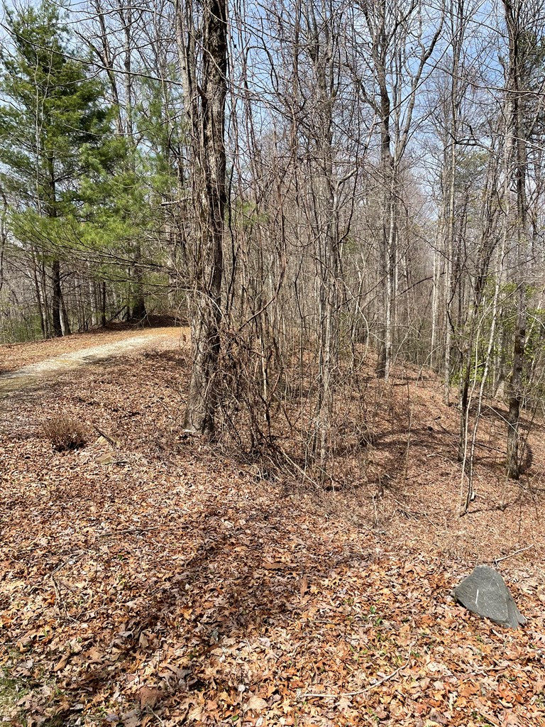 0 Hidden Lakes Road Topton, NC 28781 - Photo 5 of 14