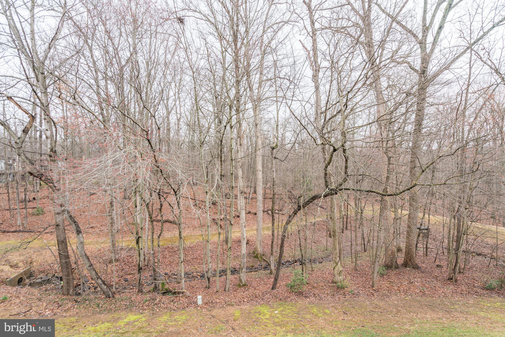 1614 Oak Spring Way Reston, VA 20190 - Photo 73 of 85 View - Just Wait Until These Trees are in Bloom!