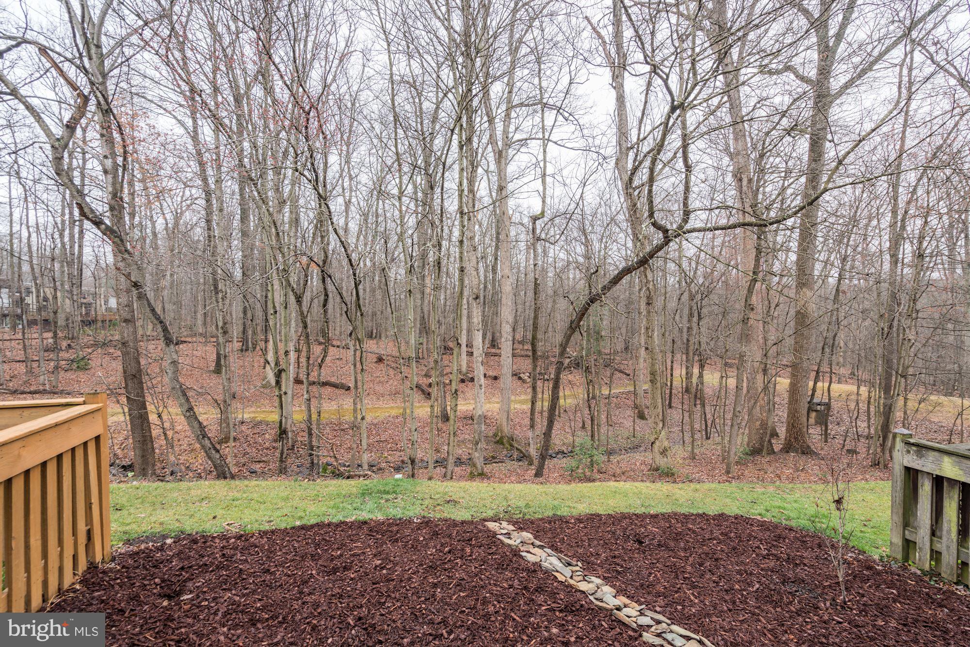 1614 Oak Spring Way Reston, VA 20190 - Photo 76 of 85 Lovely & Desirable Flat Back Yard!