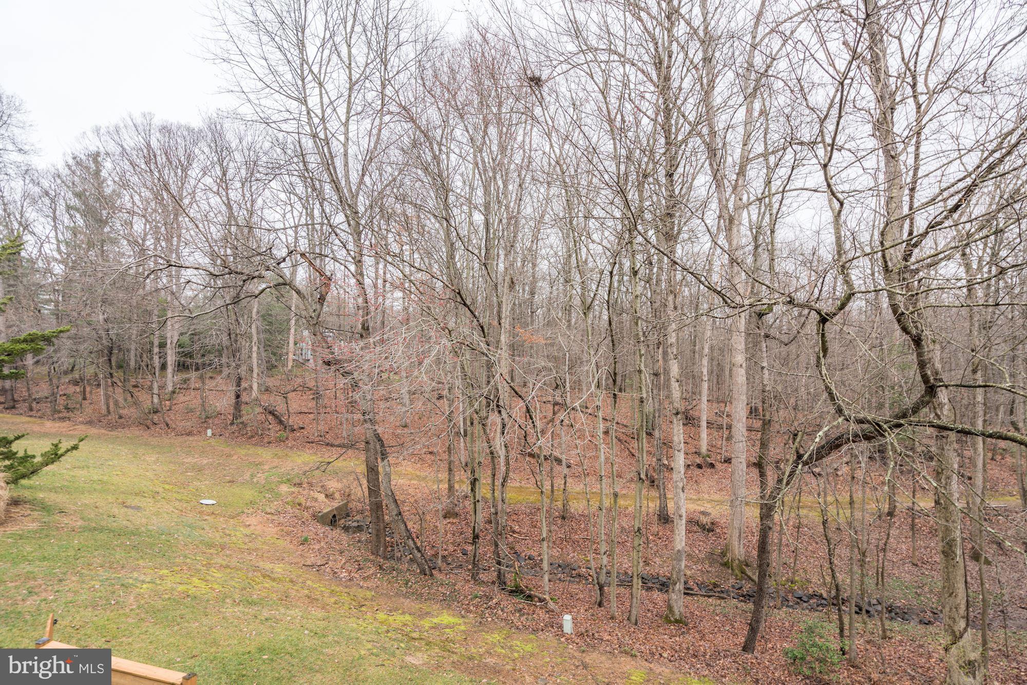 1614 Oak Spring Way Reston, VA 20190 - Photo 77 of 85 View from Lower Level Patio