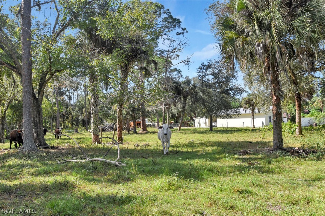 17220 North River Road Alva, FL 33920 - Photo 9 of 14 Gallery Image 9