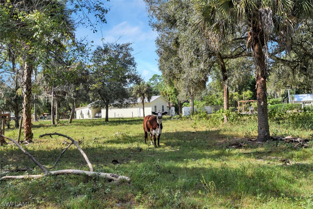 17220 North River Road Alva, FL 33920 - Photo 10 of 14 Gallery Image 10