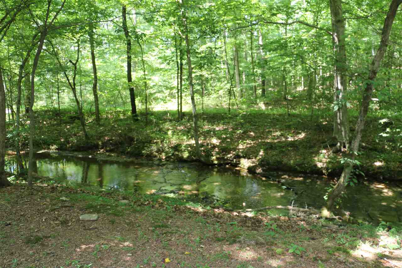 500 Forest Springs Road Adolphus, KY 42120 - Photo 9 of 33 Gallery Image 9