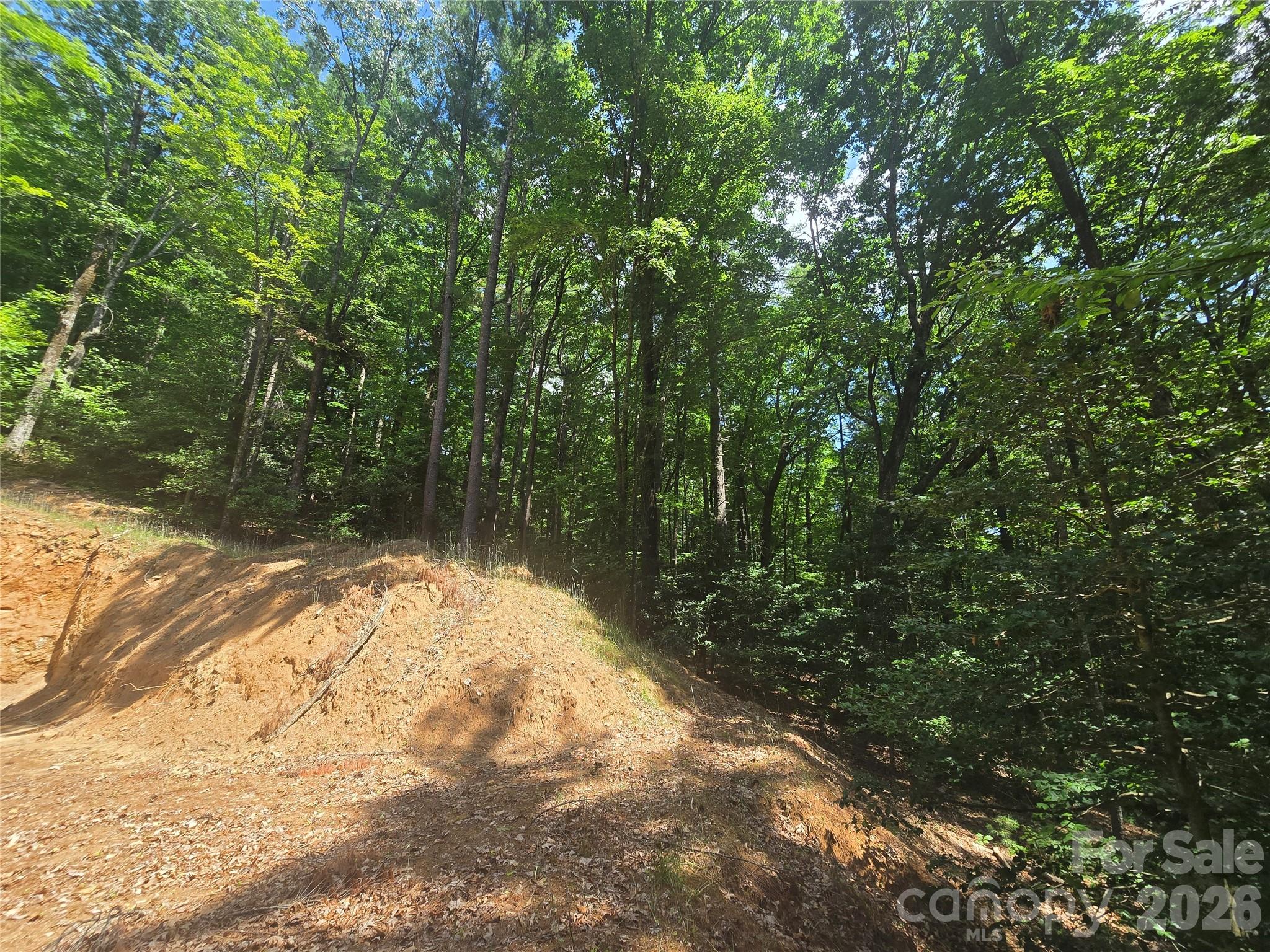 706 Highlands View Road Highlands, NC 28741 - Photo 3 of 10