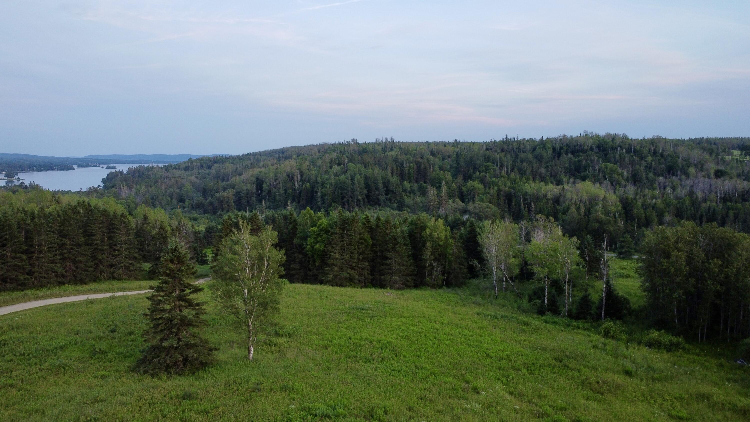Lot 75 Brisse Culotte Road St. Agatha, ME 04772 - Photo 10 of 15 DJI_0063