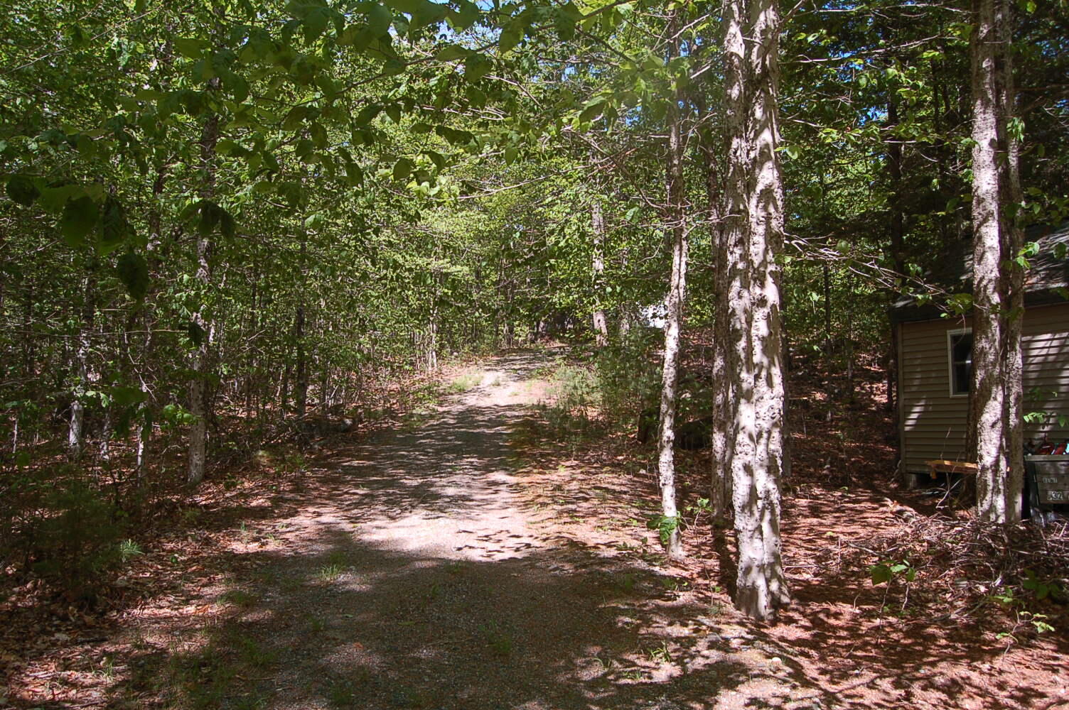 803 Main Road Burlington, ME 04417 - Photo 32 of 34 DSC_9993