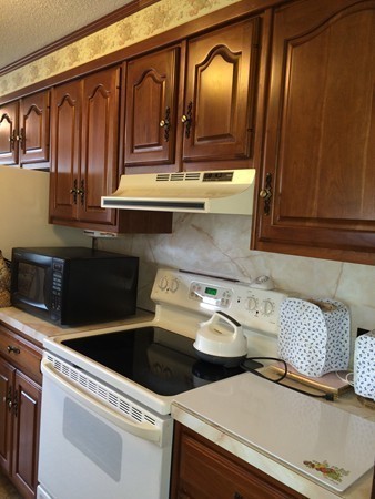 95 Macomber Avenue Springfield, MA 01119 - Photo 8 of 15