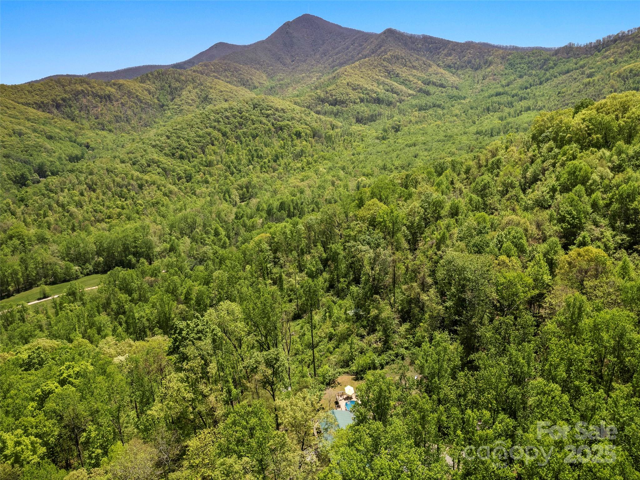44 Sutton Knob Road Candler, NC 28715 - Photo 36 of 41 a view of a lush green hillside and a mountain