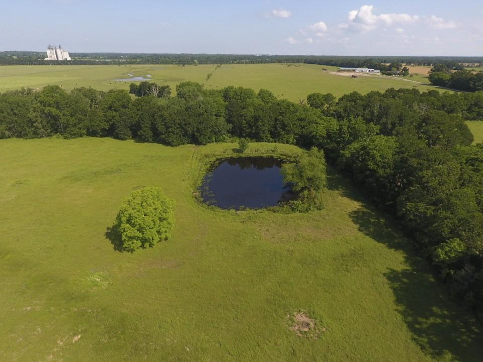8698 River Bend Road Oakwood, TX 75855 - Photo 47 of 55