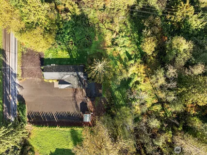 a backyard of a house with lots of plants and large tree