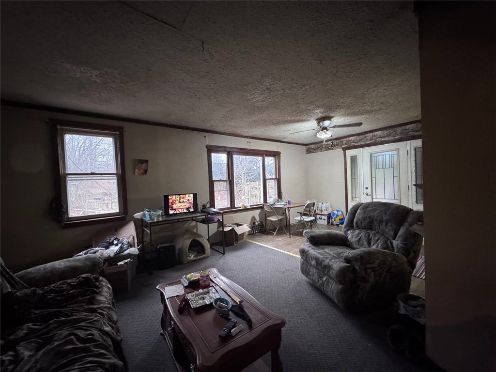 9495 East Main Road Ripley, NY 14775 - Photo 5 of 39