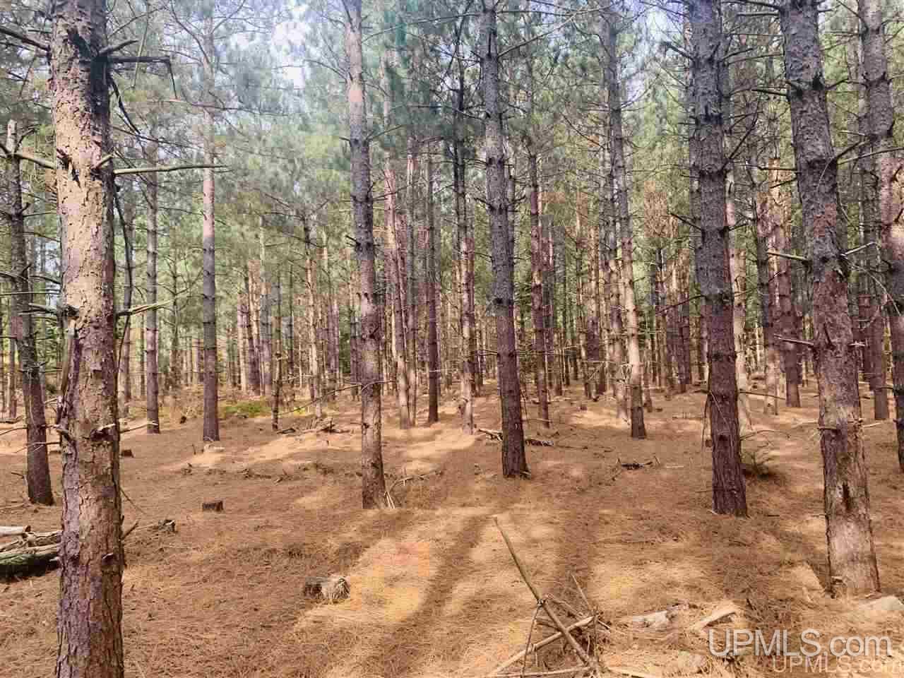 Tbd Off Of Flodin Road Garden, MI 49835 - Photo 8 of 13